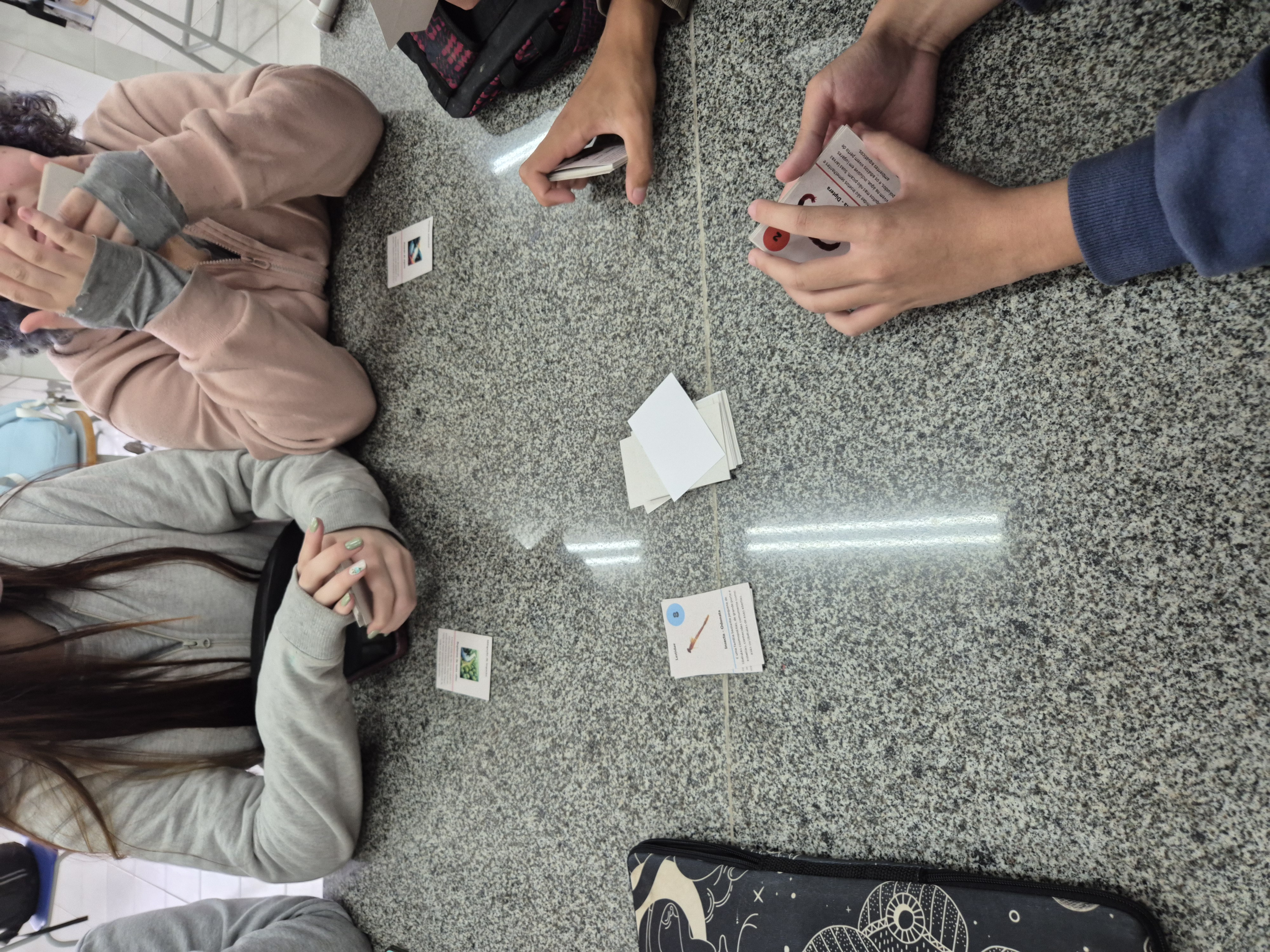 Conclusão do estudo